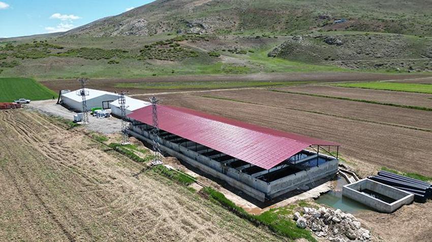 Erzincanlı girişimci 25 yıl sonra memleketine döndü, Bakanlık desteğiyle milyonluk balık tesisi kurdu! İhracata katkı sağlıyor, bu yılda hedefi 20 milyon üretecek!