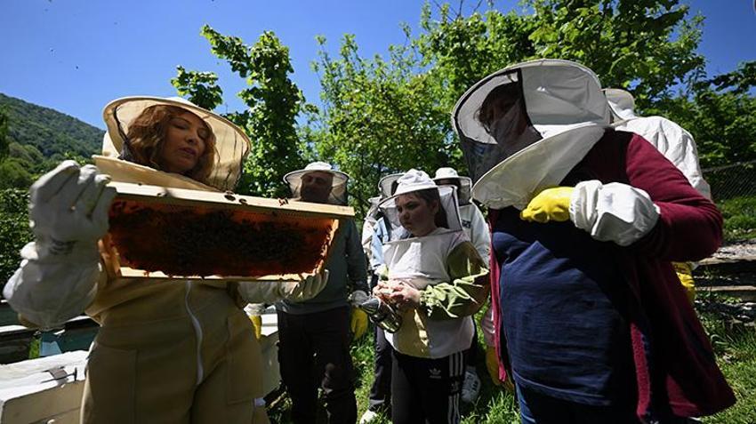 Türkiye’de 'apiturizm' dönemi: Doğaseverler için 9 benzersiz arıcılık rotası kuruldu: Yeni bir turizm alanı doğuyor