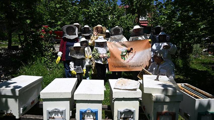 Türkiye’de 'apiturizm' dönemi: Doğaseverler için 9 benzersiz arıcılık rotası kuruldu: Yeni bir turizm alanı doğuyor