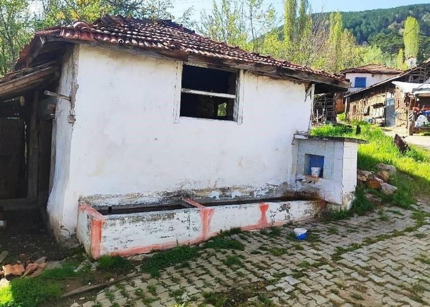 Kütahya'da doğa harikası köy: Her adım başında göze çarpıyor