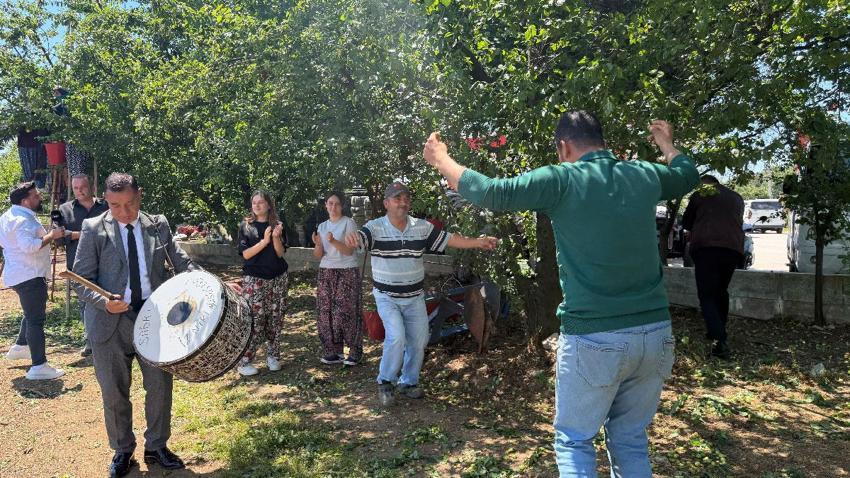 İznik'te sezonun ilk erik hasadı davul zurna eşliğinde göbek atarak yapıldı
