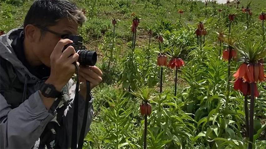 Japonya’dan kalkıp Hakkari’ye geldi, Yüksekova dağlarına çıktı! Tek bir amaç için kilometrelerce yol katetti