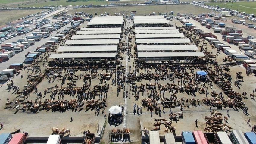 Türkiye'nin en büyüğü Sivas'ta kuruldu: Kurban Bayramı'nda hizmet verecek