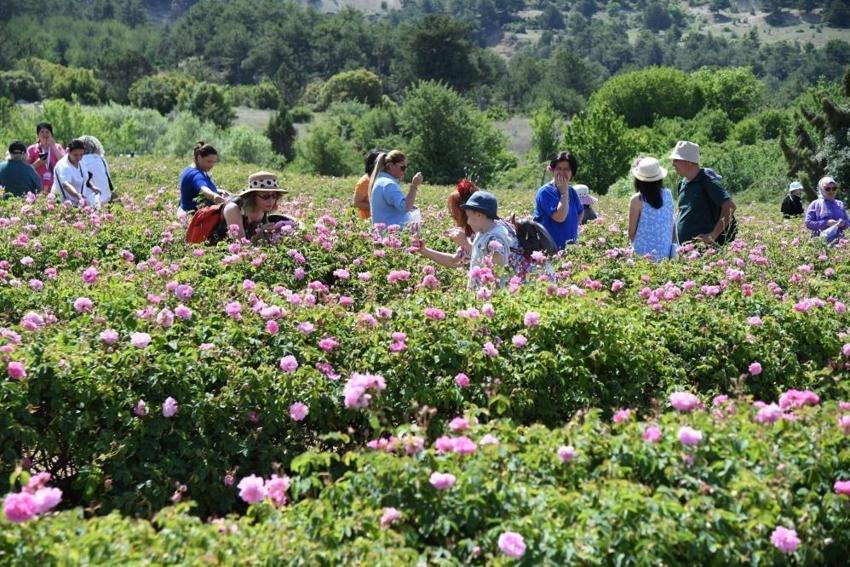 Isparta'da hayat Haziran başında duracak: Tarihler belli oldu