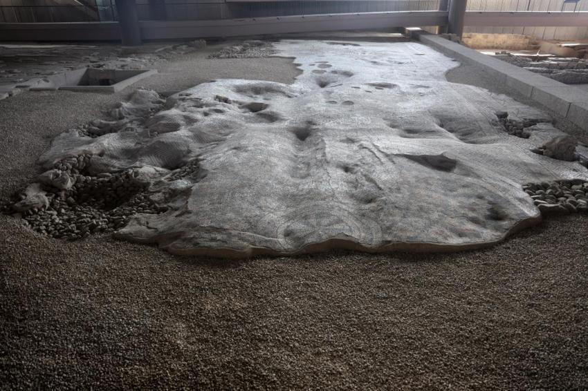 Dünyada eşi benzeri yok! Hatay'daki 1050 Metrekarelik dev mozaik ihtişamıyla göz kamaştırıyor: Depremde tek bir hasar dahi almadı
