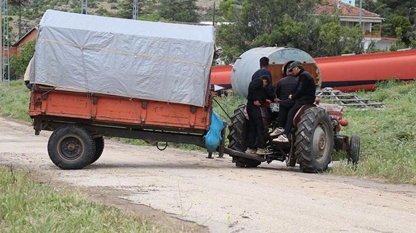 Bulgaristan'dan baston içinde getirilen fidan şehri zengin etti! Hasat başladı: Yüzlerce aile bu işten geçiniyor