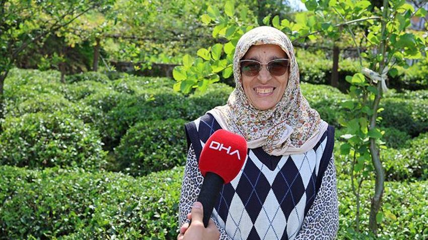 Çay geç geldi ama bu yıl don yanığı yok, rekolte yüksek! Trabzon'da ilk sürgün 10 gün gecikmeli başladı: 830 Bin dekarda Karadeniz'in 'yeşil altını' için üretici bahçede