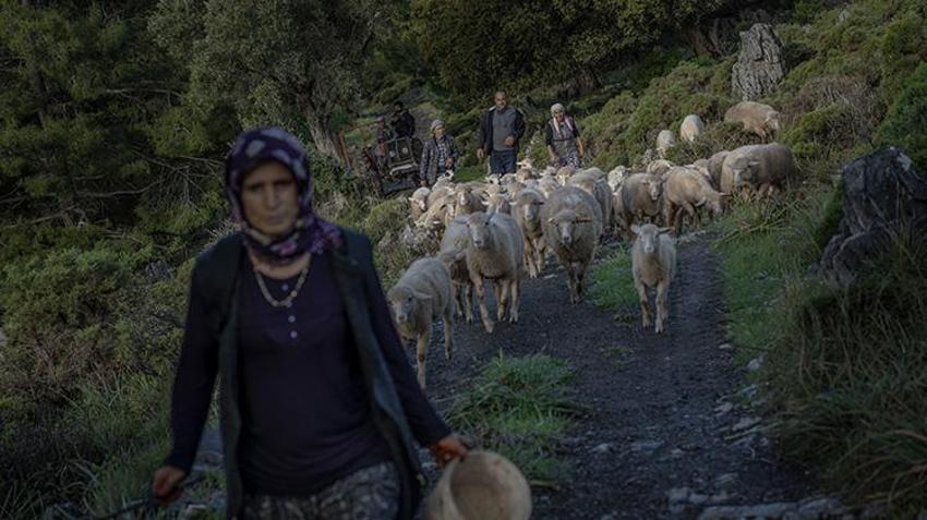 Denizli'den Dalaman'a 4 gün yürüyüp teknede biten 'zaman yolculuğu'! Tarihi sarnıçlardan su içip 6 ay boyunca mağarada yaşıyorlar! 'Ne telefon var da ne elektrik'