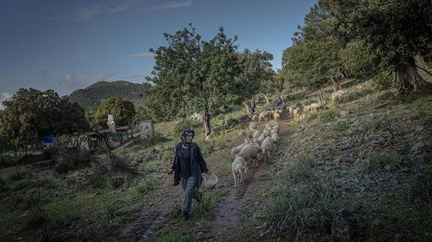 Denizli'den Dalaman'a 4 gün yürüyüp teknede biten 'zaman yolculuğu'! Tarihi sarnıçlardan su içip 6 ay boyunca mağarada yaşıyorlar! 'Ne telefon var da ne elektrik'
