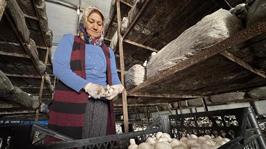 Ev hanımıydı, şimdi onlarca kadına maaş ödüyor: Her şey 5 çadırla başladı, şimdi talebe yetişemiyorlar! Hatay'da 150 ailenin yeni geçim kapısı oldu