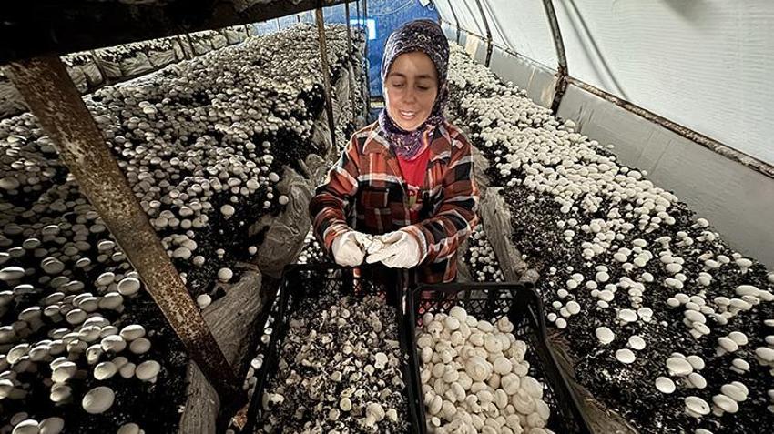 Ev hanımıydı, şimdi onlarca kadına maaş ödüyor: Her şey 5 çadırla başladı, şimdi talebe yetişemiyorlar! Hatay'da 150 ailenin yeni geçim kapısı oldu