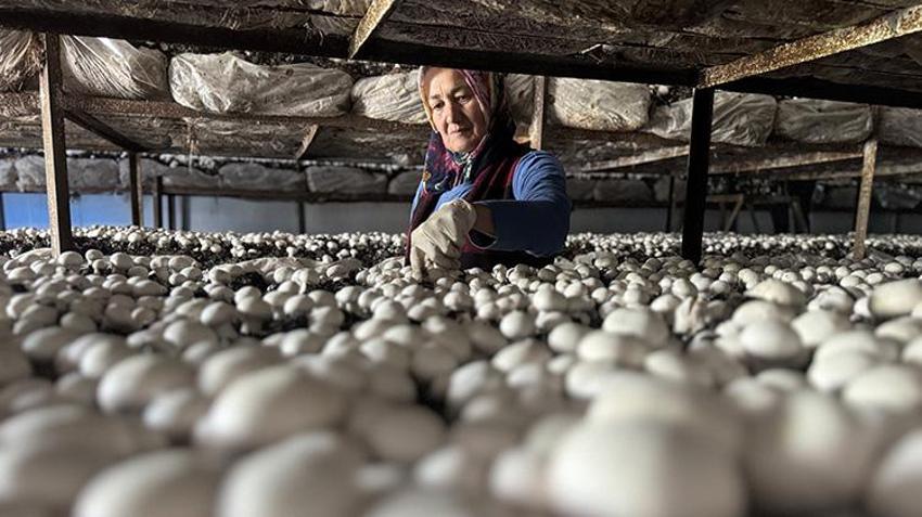 Ev hanımıydı, şimdi onlarca kadına maaş ödüyor: Her şey 5 çadırla başladı, şimdi talebe yetişemiyorlar! Hatay'da 150 ailenin yeni geçim kapısı oldu