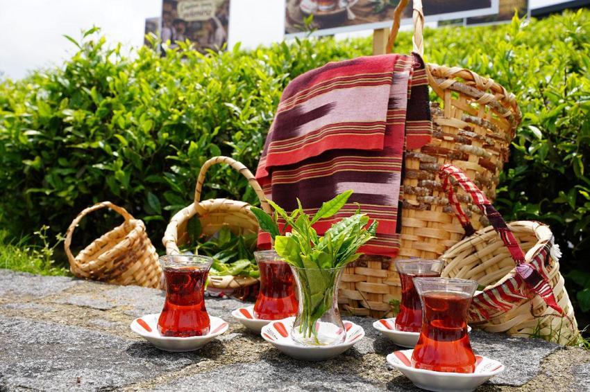 Rize'de Dünya Çay Günü elle çay toplama etkinliği ile kutlandı