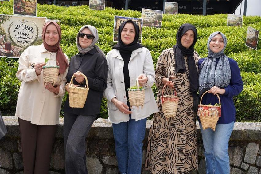 Rize'de Dünya Çay Günü elle çay toplama etkinliği ile kutlandı