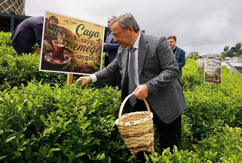 Rize'de Dünya Çay Günü elle çay toplama etkinliği ile kutlandı