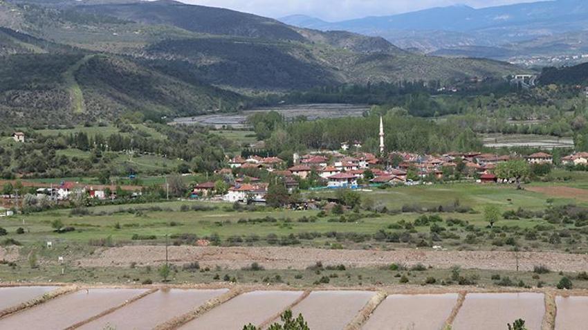 Ilgaz’da sadece o ürün yetişiyor! 3 bin dönüm arazide ekim yapıldı: Hasat için aylarca nöbet tutulacak