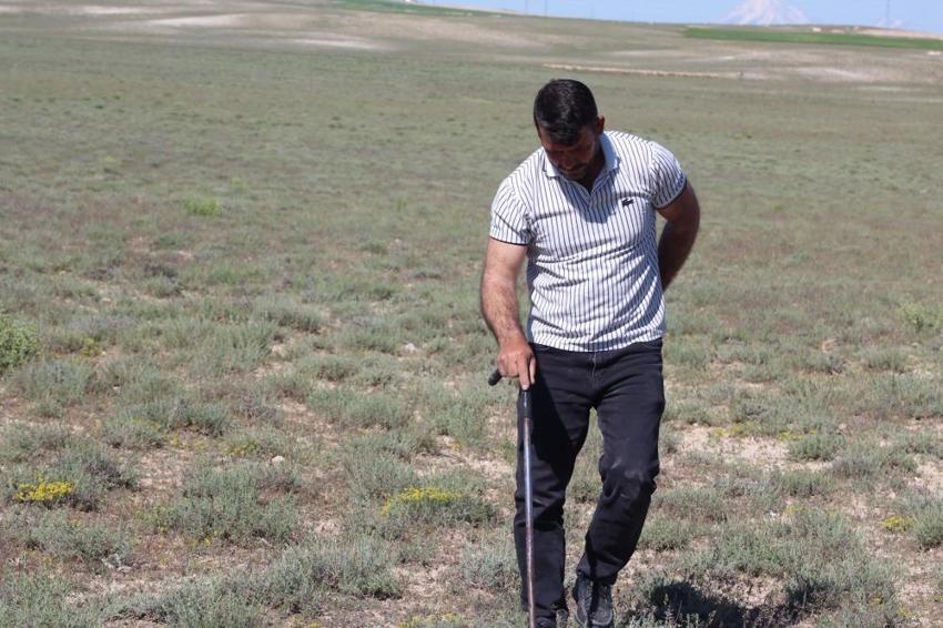 Konya'da boş arsada demirle günde 60 bin TL buluyor: Ev, arsa, araba aldım