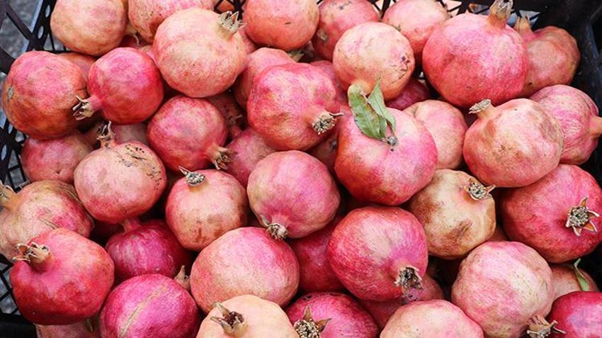 Siirt'in dünyaca ünlü ürünü tescillendi! Aylarca bozulmuyor, tam bir şifa kaynağı