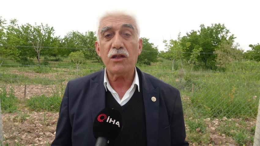 Geçen sene ağaçlar kurumuştu, şimdi dalları taşımıyor! Malatya'da bu yıl o meyvelerde Rekor bekleniyor