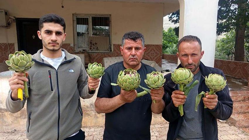 İlçede tek bir tane bile yoktu! Hayatında ilk kez Kıbrıs'ta yedi, memleketine dönüp tarım devrimi yaptı! Şimdi sipariş yetiştiremiyor, fidan başına 12 ürün veriyor