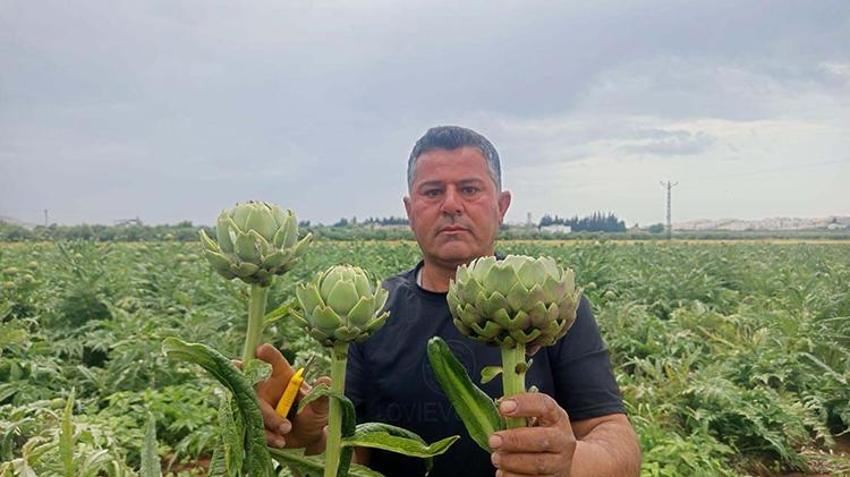 İlçede tek bir tane bile yoktu! Hayatında ilk kez Kıbrıs'ta yedi, memleketine dönüp tarım devrimi yaptı! Şimdi sipariş yetiştiremiyor, fidan başına 12 ürün veriyor