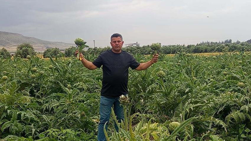 İlçede tek bir tane bile yoktu! Hayatında ilk kez Kıbrıs'ta yedi, memleketine dönüp tarım devrimi yaptı! Şimdi sipariş yetiştiremiyor, fidan başına 12 ürün veriyor