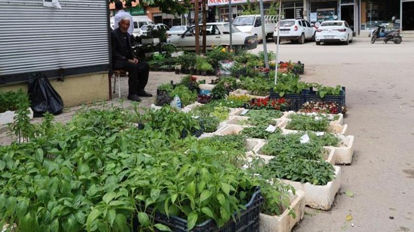 Adana'da tanesi 10 TL'den satılıyor, kapış kapış gidiyor! En çok o 3 çeşit tercih ediliyor
