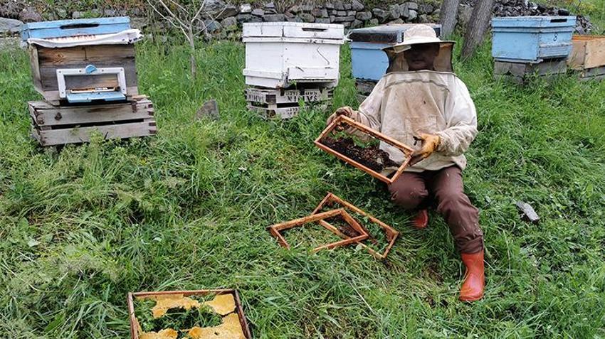 Erzincan'da 52 yaşındaki çiftçinin tüm geçim kaynağı bir gecede yok oldu: Ayılar kovanları parçaladı