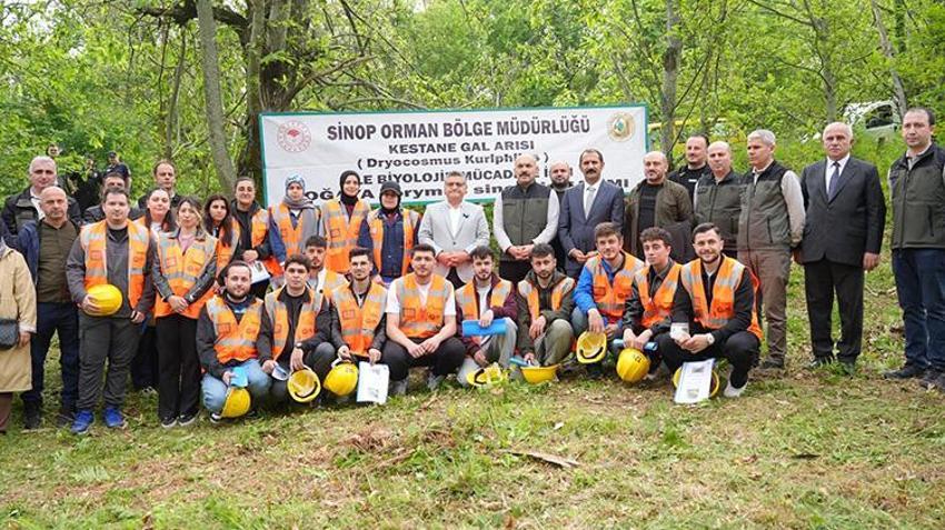 Sinop'ta ormanlara salındılar! Tam 2 bin 500 tanesi birden göreve başladı: Yıl sonuna kadar 8 bin tane daha geliyor