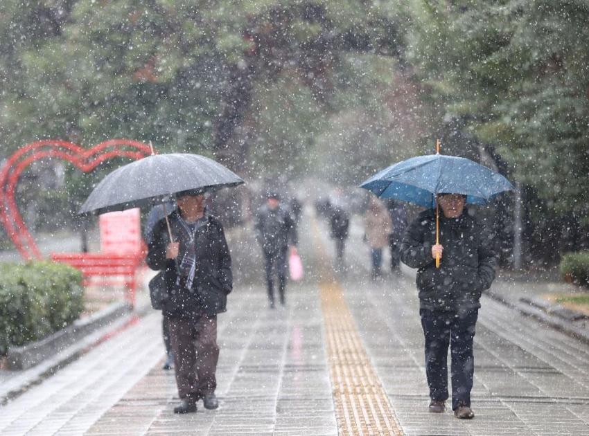 Meteoroloji Kurban Bayramı için hava durumunu açıkladı! Ülke genelinde kuvvetli sağanak yağışlar etkili olacak