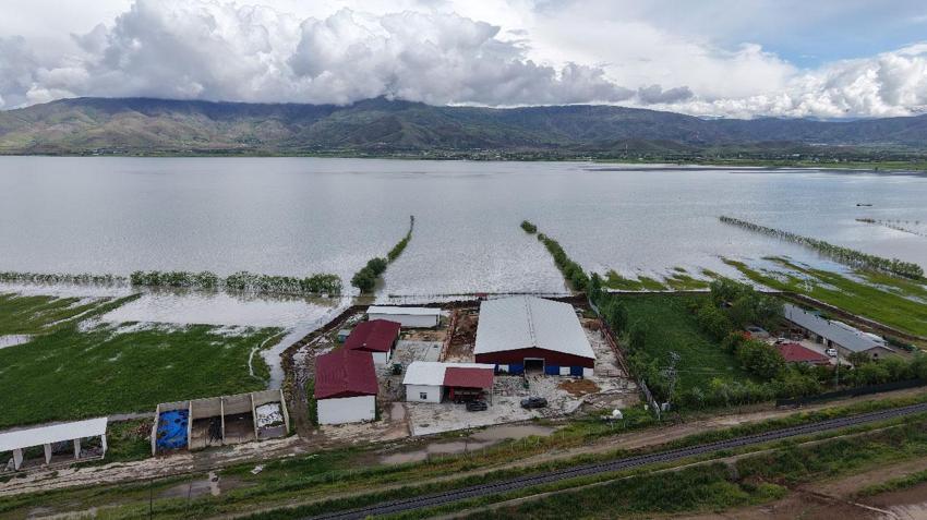 Elazığ'da üreticilerin tedirgi bekleyişi: Çiftliklerin önlerine set çekerek nöbet tutmaya başladılar