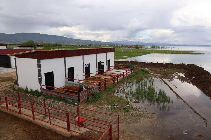 Elazığ'da üreticilerin tedirgi bekleyişi: Çiftliklerin önlerine set çekerek nöbet tutmaya başladılar