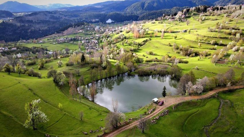 Kartpostallık manzara! Artvin Şavşat’ın saklı cenneti Balık Gölü'nde yeşilin her tonu aynı karede