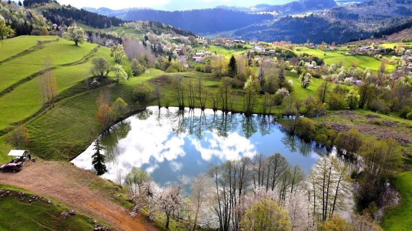 Kartpostallık manzara! Artvin Şavşat’ın saklı cenneti Balık Gölü'nde yeşilin her tonu aynı karede