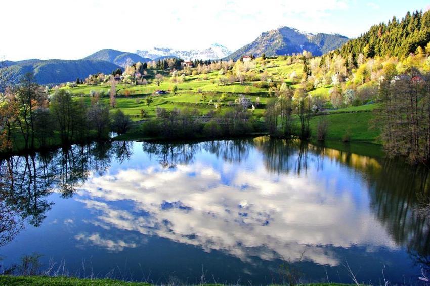 Kartpostallık manzara! Artvin Şavşat’ın saklı cenneti Balık Gölü'nde yeşilin her tonu aynı karede