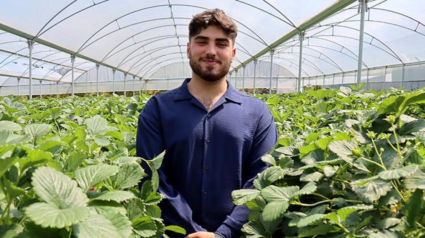 Toprak yok, tarlada değil bilgisayarla yetişiyor! 21 yaşındaki genç amcasının mesleğini yapay zekayla dünya pazarına taşıdı: 6,5 dönümden 60 ton ürün aldı