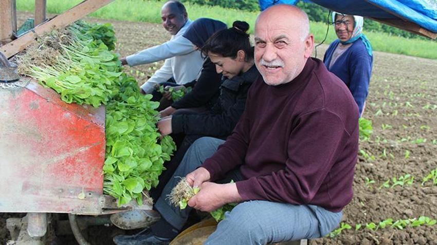 Teslim eden parasını peşin alıyor! Kilosu 400 TL’ye yükseldi: Bir eken bir daha vazgeçmiyor