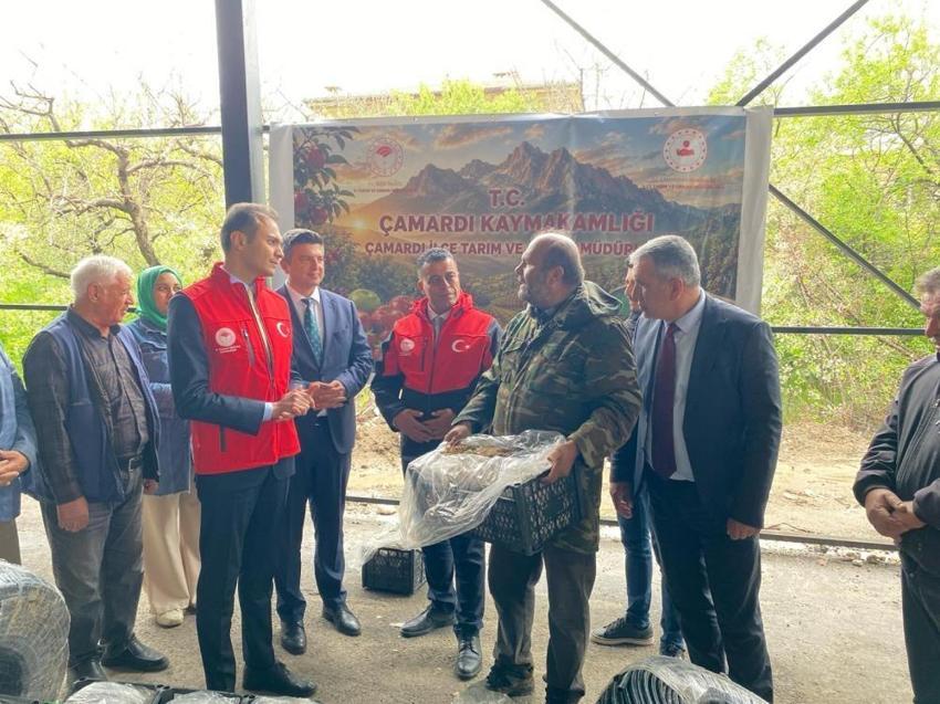 Niğde'de 90 bin fide toprakla buluşuyor! Çamardı çilekte dünya markası oluyor