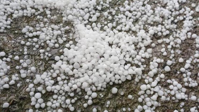 Malatya'da üreticinin korktuğu başına geldi! Dolu yağışı kayısıyı vurdu