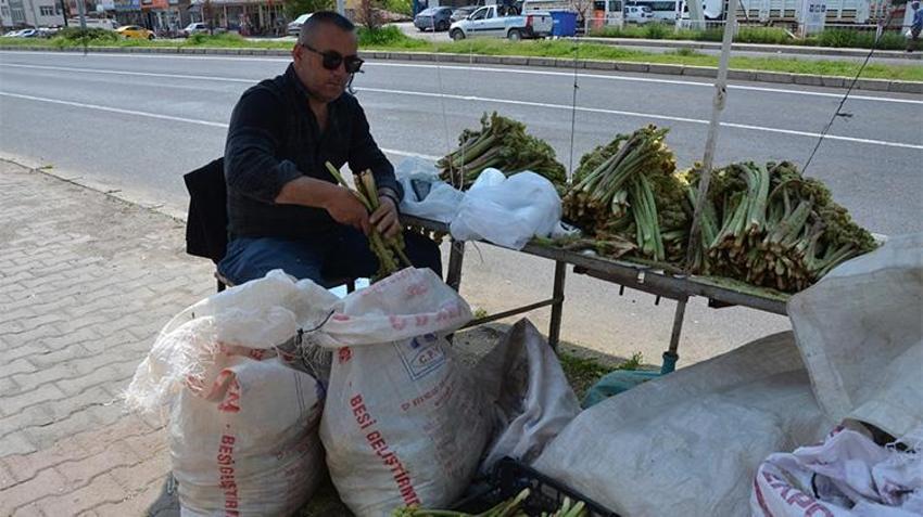 Yaylalardan bedavaya toplayıp, kilosunu 200 liradan satıyorlar! Tam bir şifa deposu