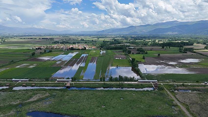TOKAT SON DAKİKA HABER | Almus Barajı'nda su tahliye ediliyor: Yeşilırmak taştı araziler su altında kaldı