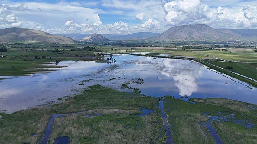 TOKAT SON DAKİKA HABER | Almus Barajı'nda su tahliye ediliyor: Yeşilırmak taştı araziler su altında kaldı