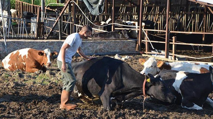 Mesleğini bıraktı 2 hayvan alarak işe koyuldu! Kısa sürede sayıyı 27 kat artırarak kârını katladı