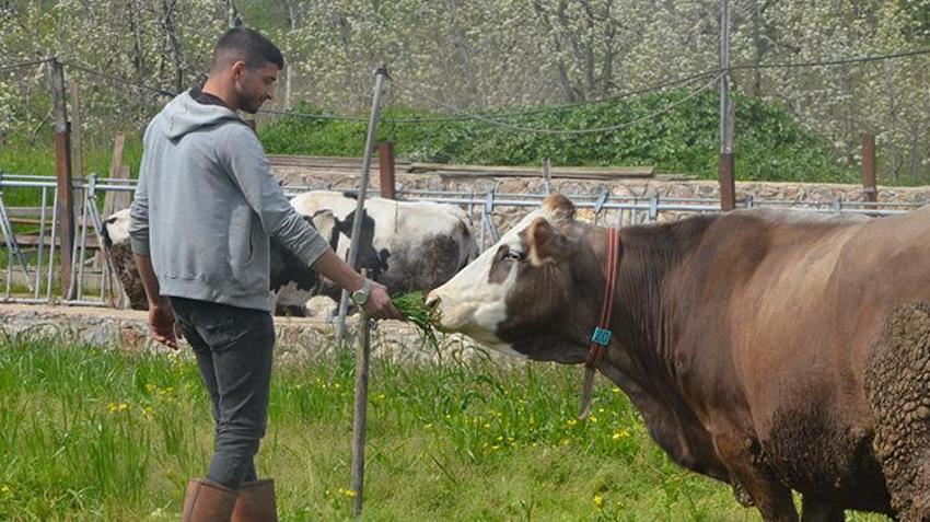 Mesleğini bıraktı 2 hayvan alarak işe koyuldu! Kısa sürede sayıyı 27 kat artırarak kârını katladı