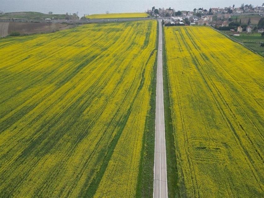 Tekirdağ'da üretici 3 üründe karar kıldı: Yüzde 30 verim arttı