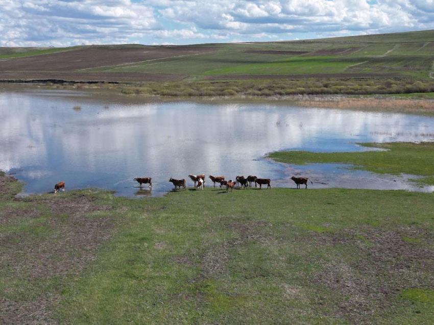 Kars'ta bulutların aynası Kars Baraj Gölü'nde kartpostallık manzara