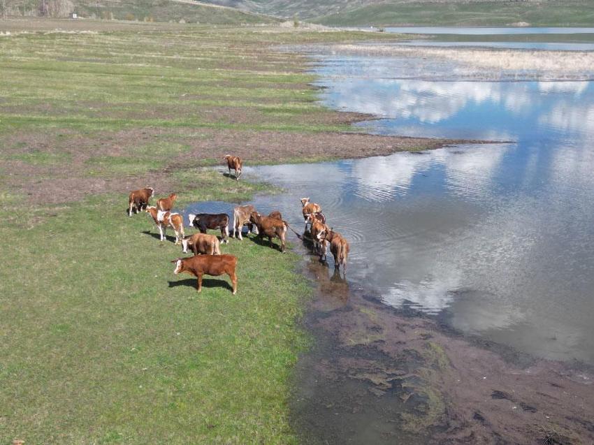 Kars'ta bulutların aynası Kars Baraj Gölü'nde kartpostallık manzara