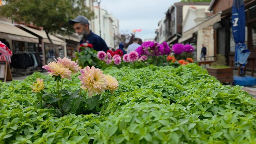 Edirne Saraçhane Caddesi'ne fesleğen kokusu yayıldı