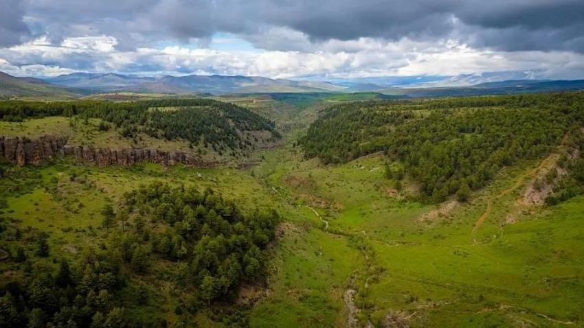 Bu görüntü Kayseri'de çekildi: Çok az kişi fark etti