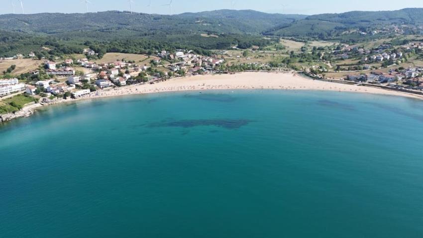 Kocaeli'nin eli ayağına dolaştı: 9 plaj da aynı sözleri aldı
